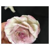 Assorted Porcelain Flowers Inc Capodimonte A. Gagliardi Made in Italy