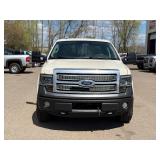 2009 FORD F-150 PLATINUM *4x4* (NO RESERVE)