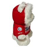 Vintage 1989 Dayton Hudson Santa Bear Plush Toy "Polar Explorer"