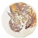 Hand Painted Drum | Bald Eagle Photo Bundle