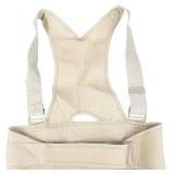 Back Pain and Support Bundle - Qty 3 | Royal Posture | Heating Pad | Posture Pump Neck Exercise