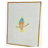 Vintage Jennifer Berringer Etching and Watercolor Parrot Print #115/400 | 23 1/4" x 17 7/8" x 18 1/8" | NO GLASS, THIN PLASTIC  SHEATH