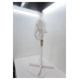 Pedestal Fan