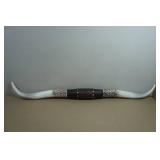 41" Resin Longhorns