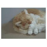 Realistic Sleeping Cat Plush