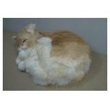 Realistic Sleeping Cat Plush
