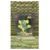 2025 Lamincard Italian Brainrot 1st Edition Tik Tik Tik Tik Sahur