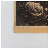 Tom Lloyd Pastoral Cow Print
