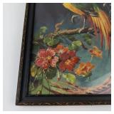Vintage Carlo Tropical Pheasant Framed Print