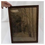 Framed Forest Landscape Print