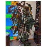 Large Potted Foliage Plant in Ceramic Planter