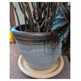 Large Potted Foliage Plant in Ceramic Planter