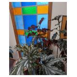 Large Potted Foliage Plant in Ceramic Planter