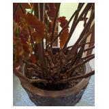 Large Potted Begonia Houseplant in Decorative Planter