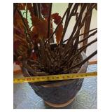 Large Potted Begonia Houseplant in Decorative Planter