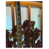 Large Potted Begonia Houseplant in Decorative Planter