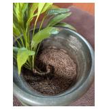 Potted Green Houseplant in Decorative Planter With Saucer