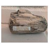 Petrified Wood Specimen 200g