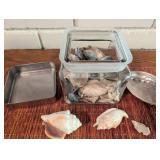 Assorted Seashell Collection in Glass Jar With Tin Trays
