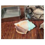 Assorted Seashell Collection in Glass Jar With Tin Trays