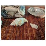Assorted Seashell Collection in Glass Jar With Tin Trays