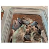 Assorted Seashell Collection in Glass Jar With Tin Trays