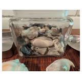 Assorted Seashell Collection in Glass Jar With Tin Trays