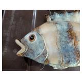 Ceramic Fish Wall Hanging Plaque