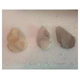 Fossil Cave Bear Tooth & Mixed Fossil Specimens in Wooden Tray