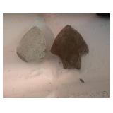 Fossil Cave Bear Tooth & Mixed Fossil Specimens in Wooden Tray
