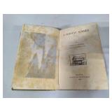 "A Norway Summer" by Laura Nichols (c1897) Hardcover