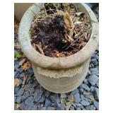 Large Cement Oval Planter  **Saturday Pick Up in Plymouth - See Removal Tab for Specifics**