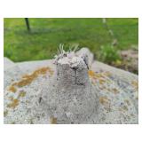 Cement Outdoor Pagoda **Saturday Pick Up in Plymouth - See Removal Tab for Specifics**