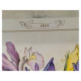 Tulip & Iris Prints