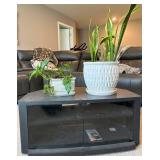 Entertainment Cabinet With 2 Live Plants