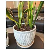 Entertainment Cabinet With 2 Live Plants