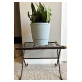 Heavy Wrought Iron Table With Live Potted Plant
