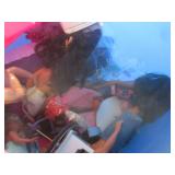 (F-3) Tote of Barbie Dolls, Furnitu...