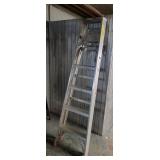 Werner 6 ft. Ladder Model 366-5