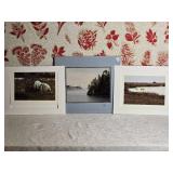 *SIGNED* Breathtaking Naturalist Fine Art Photography Series - Polar Bears / Split Rock Lighthouse