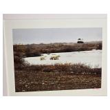 *SIGNED* Breathtaking Naturalist Fine Art Photography Series - Polar Bears / Split Rock Lighthouse