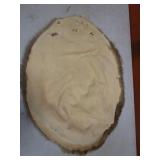 Beaver Pelt