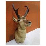 Antelope Mount