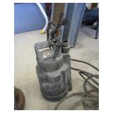 (2) Sump Pumps