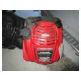 Lawnmower Motors