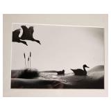 Allan I. Teger Bodyscapes Series - Geese - Singed & Numbered 81/500