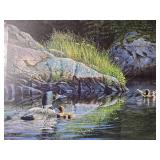 *ARTIST PROOF**SIGNED* Fine Art Naturalist Print - Jim Kasper - Common Loon and Loonlets