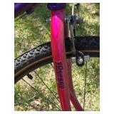 Vintage Roadmaster Mt. Climber All Terrain Bicycle
