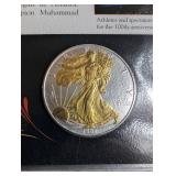U.s. Silver Eagle Dollars Collector Panels (Lot of 25)