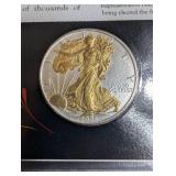 U.s. Silver Eagle Dollars Collector Panels (Lot of 25)